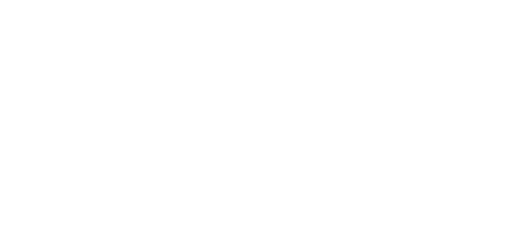 The Skate Hub